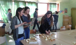 10916366_10152927051132896_2168530330293116779_o